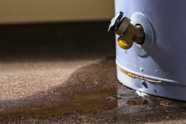 Best Water damage repair service  in Auburn, NE