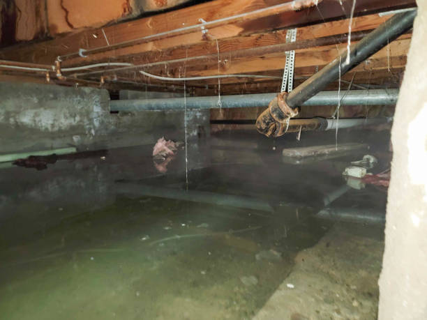  Auburn, NE Water damage restoration Pros