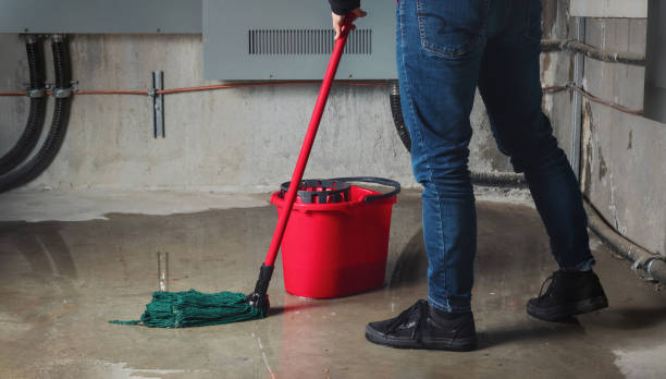 Best Flood restoration services  in Auburn, NE