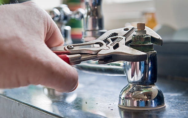 Best Mold removal after water damage  in Auburn, NE