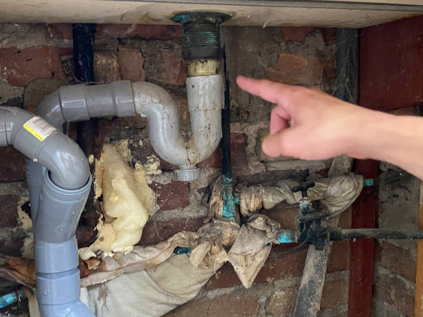 Best Flooded house restoration  in Auburn, NE