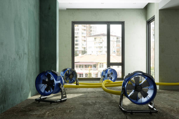 Best Fire Damage Restoration  in Auburn, NE